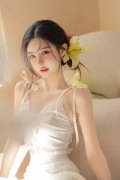 整篇都是车的多肉过程图片 MBA智库