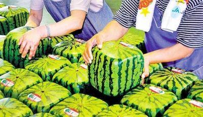 bodog官网 - 相信品牌的力量